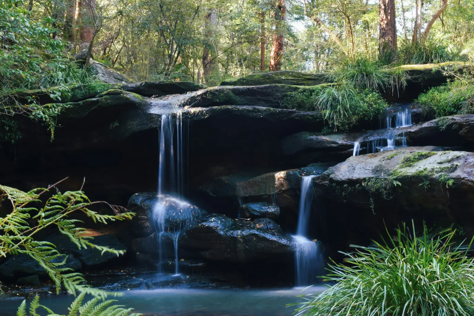 Balaka Falls running over sandstone ledges in bushland