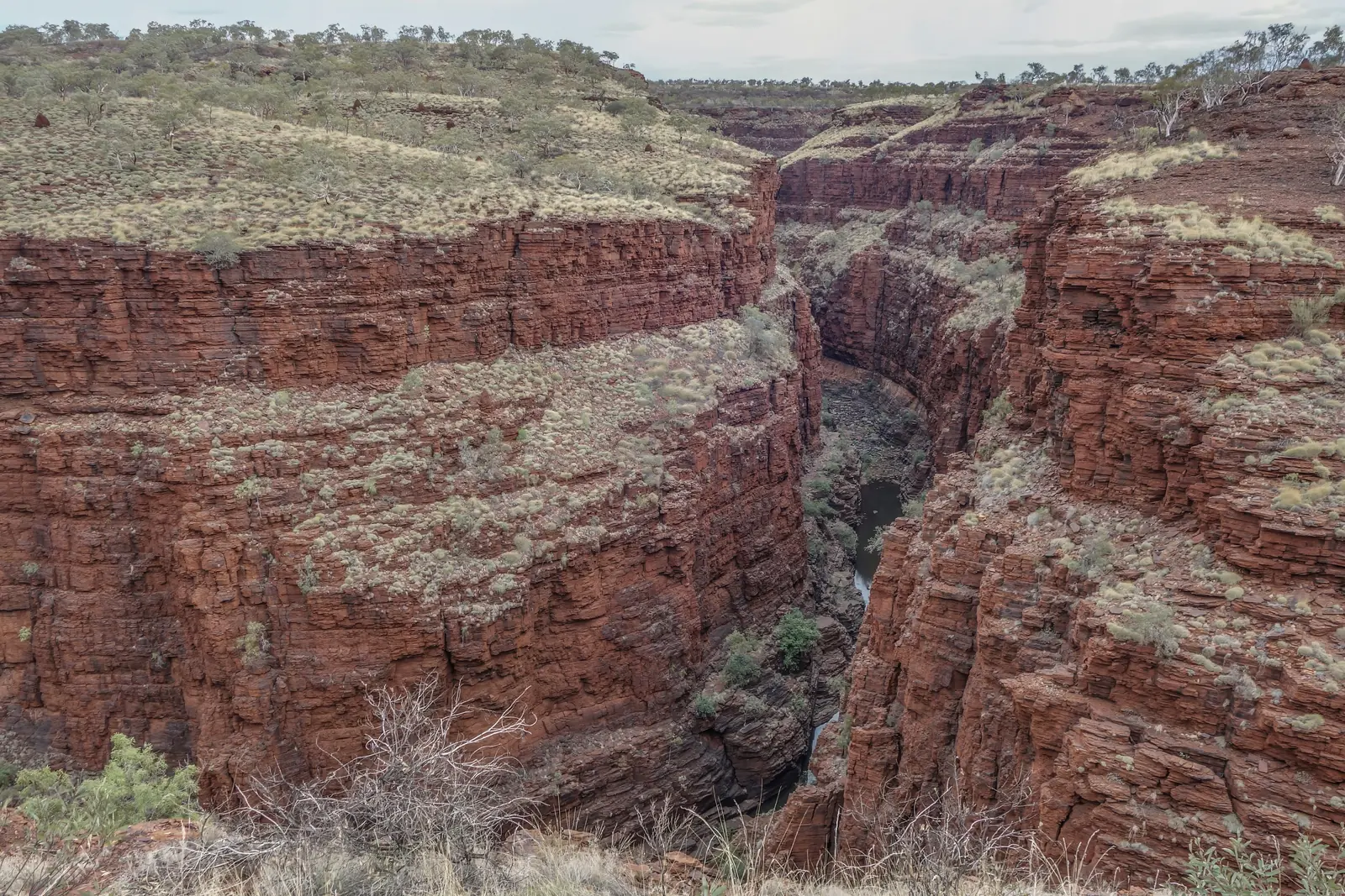 A deep red rock gorge in Western Australia with a narrow river on its floor